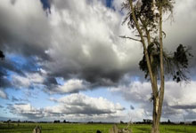 莱万多夫斯基重要时刻败北，西班牙队带队取胜！的简单介绍